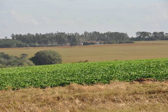 A bela zona rural em Rio Verde - GO